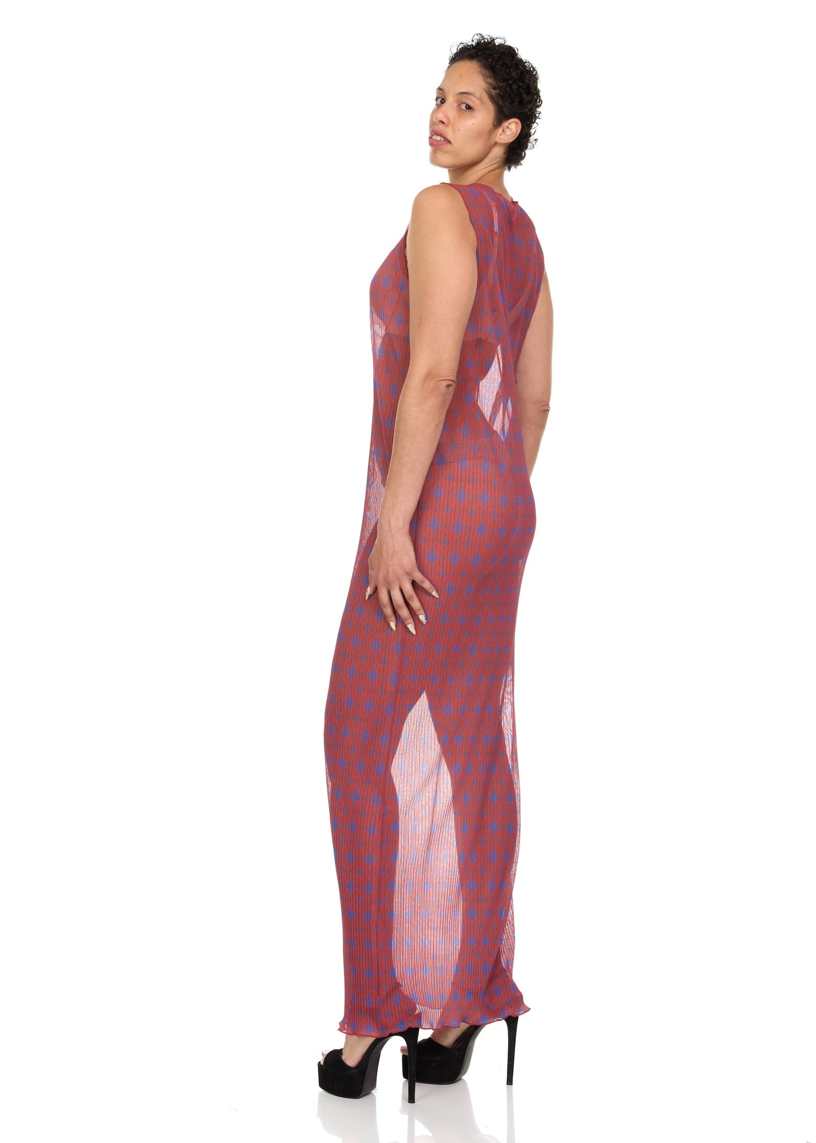 Pre-Order Pleated Mesh Maxi Dress